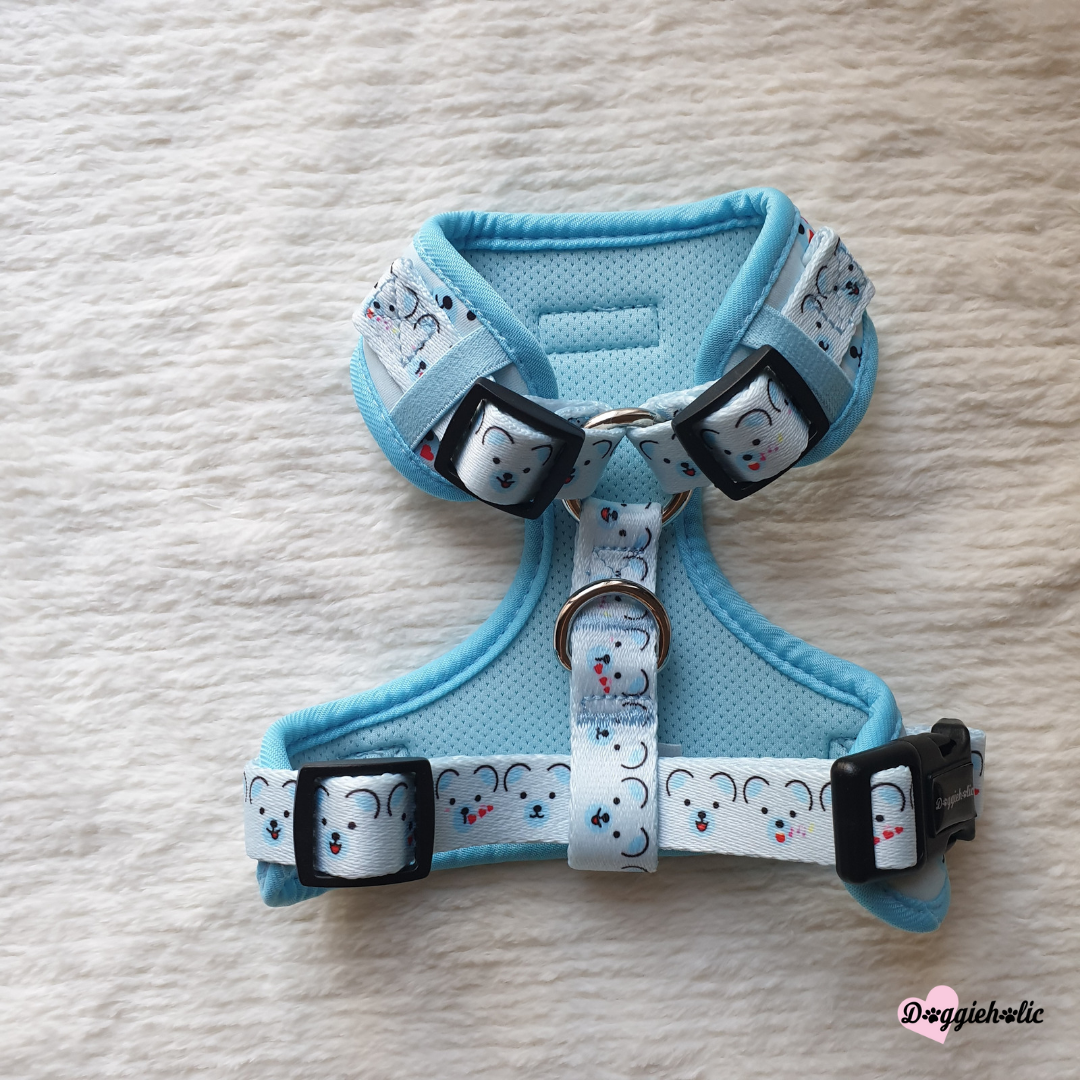 Little Bear Harness Bundle Set (Blue)