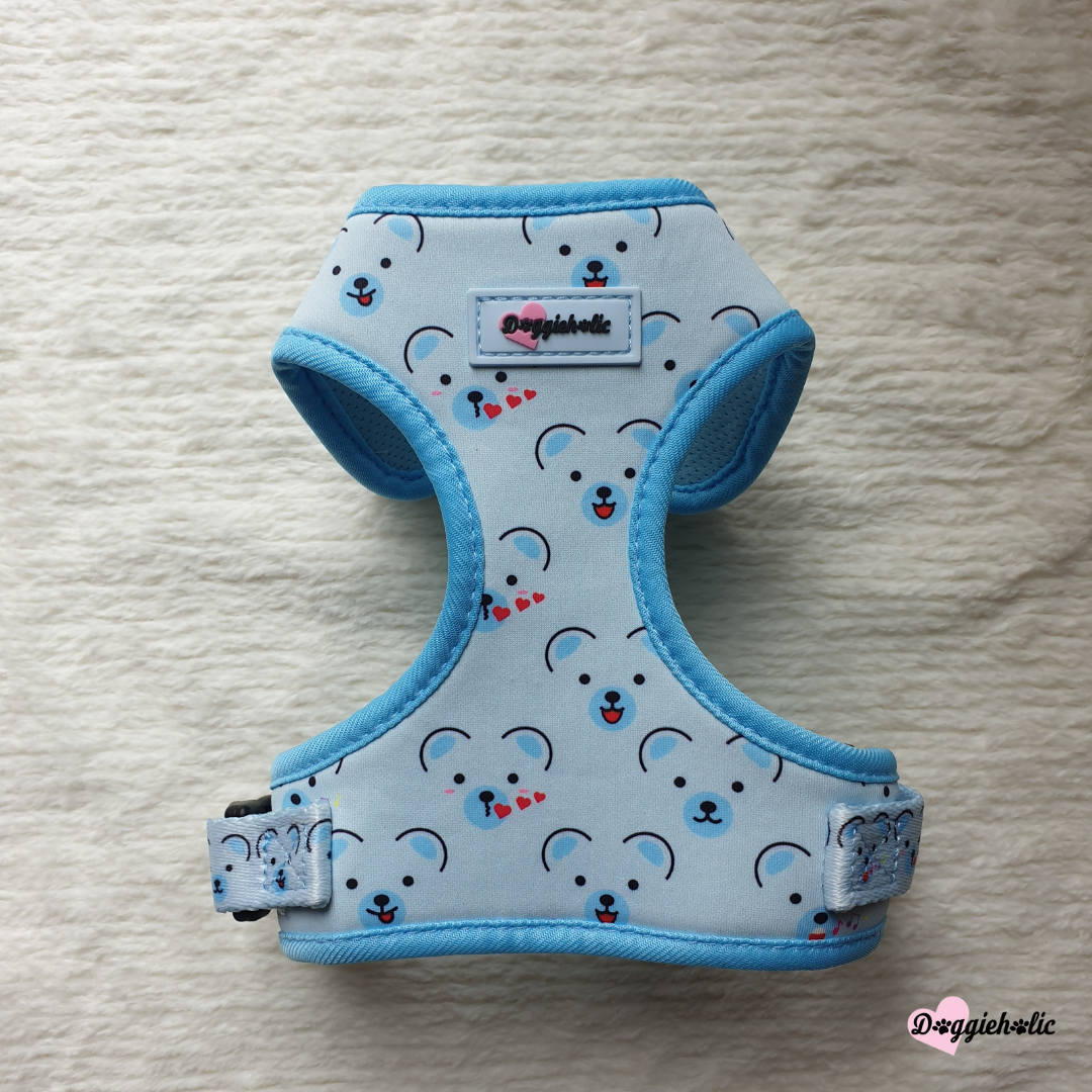 Little Bear Harness Bundle Set (Blue)