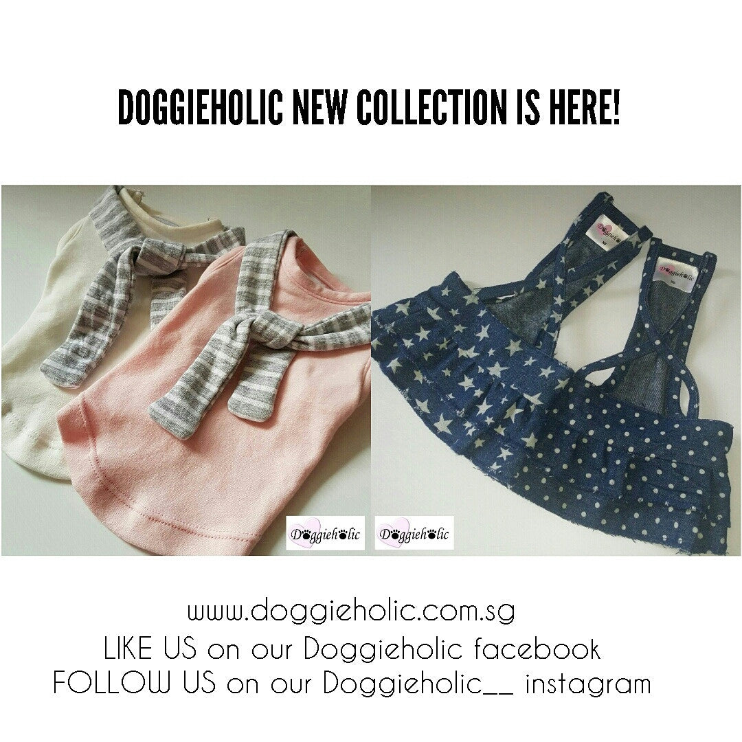 DOGGIEHOLIC New Collection Is Here!