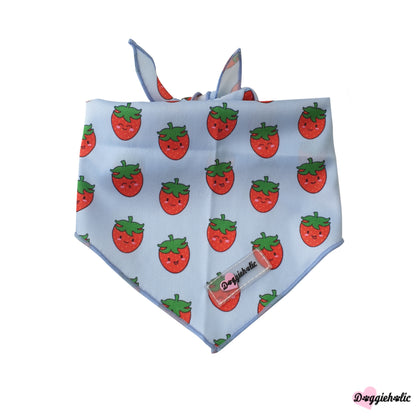 Strawberry Harness Set