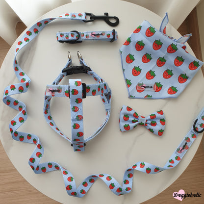 Strawberry Harness Set