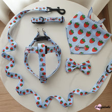 Load image into Gallery viewer, Strawberry Harness Set
