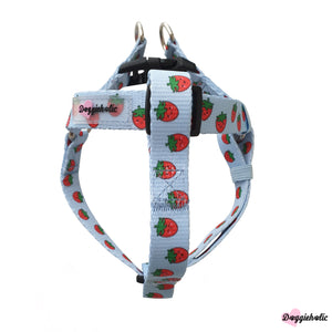 Strawberry Harness Set