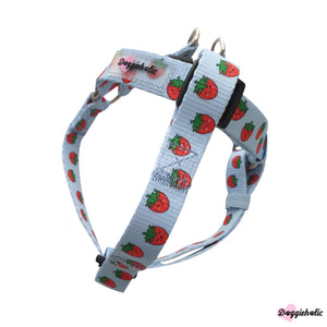 Strawberry Harness