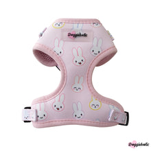 Load image into Gallery viewer, Bunny Harness Set