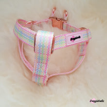 Load image into Gallery viewer, Colorful Checkered Harness