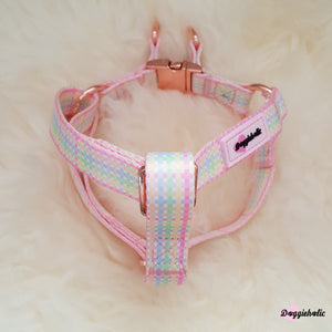 Colorful Checkered Set (Harness + Leash)