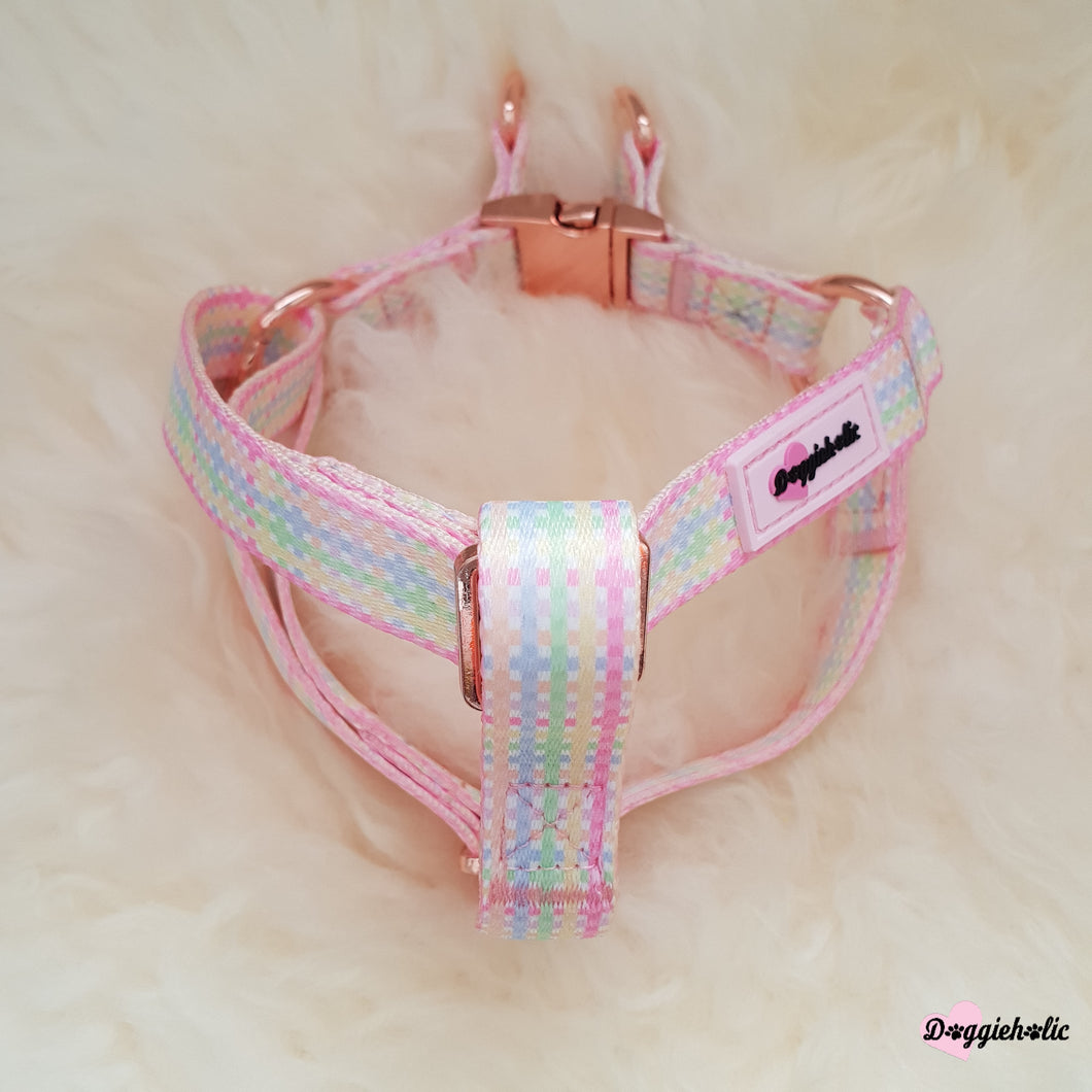 Colorful Checkered Harness