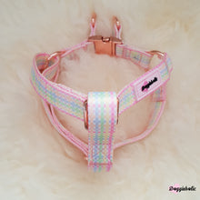 Load image into Gallery viewer, Colorful Checkered Full Set (Harness + Collar + Leash)