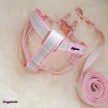 Load image into Gallery viewer, Colorful Checkered Set (Harness + Leash)