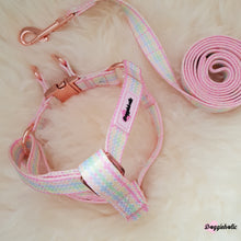 Load image into Gallery viewer, Colorful Checkered Set (Harness + Leash)