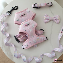 Load image into Gallery viewer, Bunny Harness Set