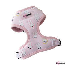 Load image into Gallery viewer, Bunny Harness Set
